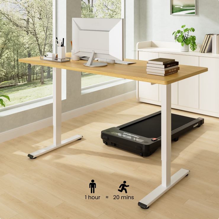Flexispot E1 Pro Standing Desk
