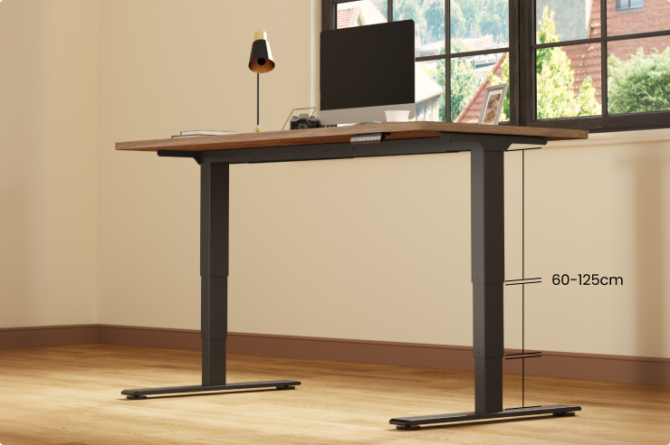 Flexispot E5 Standing Desk