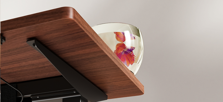 Premium Standing Desk E7 Pro | Flexispot