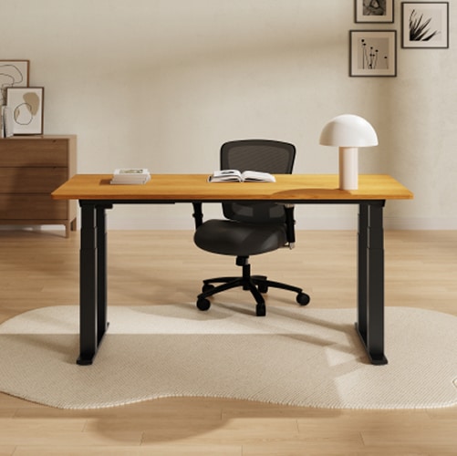 4-Leg Standing Desk E7Q Lite| FlexiSpot